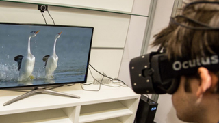 Attenborough's Next Amazing Nature Documentary Will Play on Oculus Rift